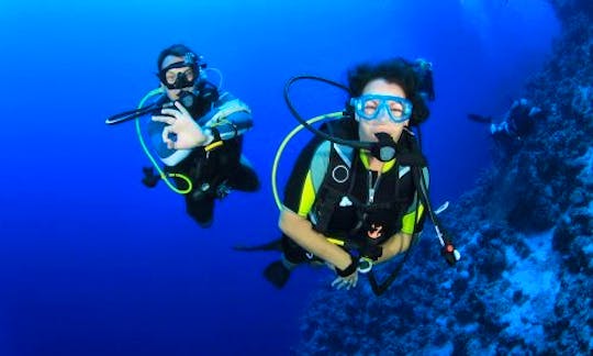 Enjoy Diving Courses in Hikkaduwa, Southern Province