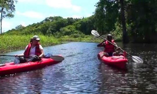 Guided Kayaking on Coropina Creek in Paramaribo, Suriname