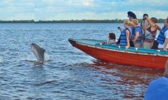 Sunset Dolphin Tour in Suriname River, Suriname
