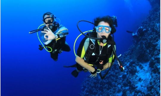 Enjoy Diving Trips & Courses in Hikkaduwa, Southern Province