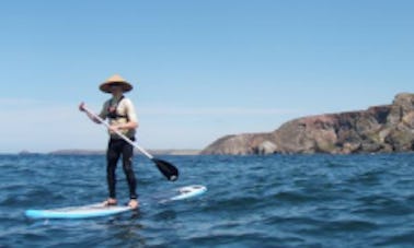 Paddleboard em Saint Agnes, Inglaterra