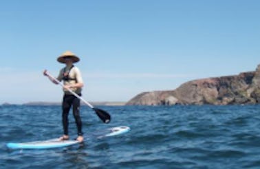 Paddleboard In Saint Agnes, England