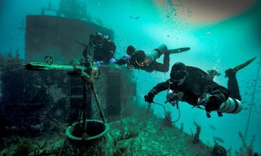 Disfrute de viajes y cursos de buceo en la bahía de San Pablo, Malta