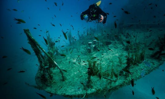 Disfrute de viajes y cursos de buceo en la bahía de San Pablo, Malta