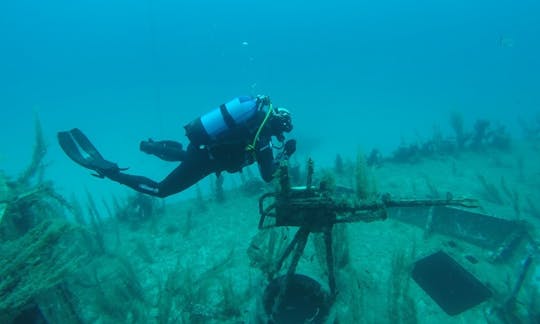 Disfrute de viajes y cursos de buceo en la bahía de San Pablo, Malta