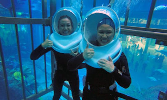 Shark Walker In Dubai, United Arab Emirates