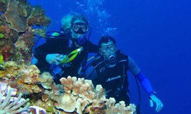 Curso PADI Open Water Diver en Dubái, Emiratos Árabes Unidos