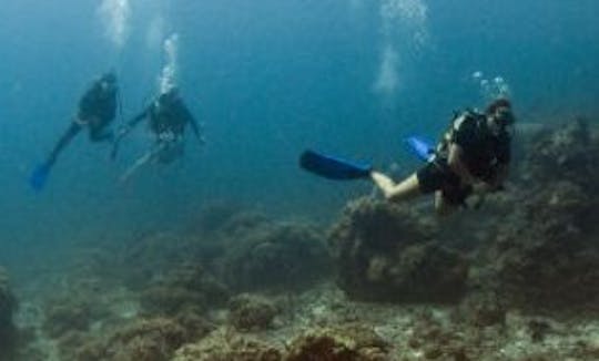 PADI Open Water Diver Course In Dubai, United Arab Emirates