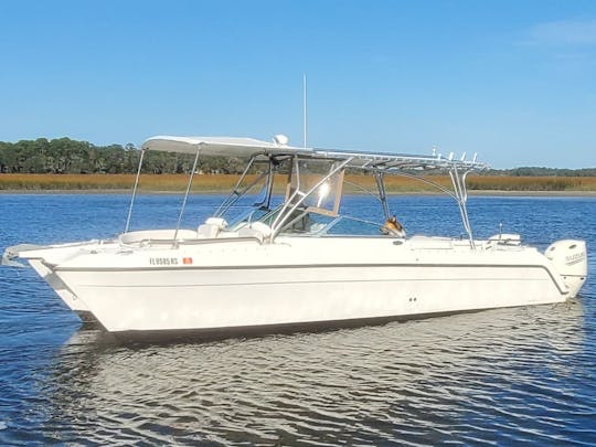 Vea Jacksonville desde el agua | Catamarán a motor Glacier Bay de 26 pies