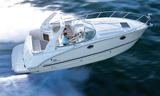 Day of fun in the sun! Book Chaparral 290 Signature Yacht
