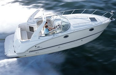 Day of fun in the sun! Book Chaparral 290 Signature Yacht