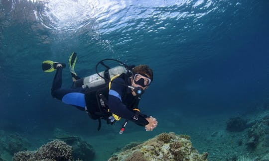 Diving Trips and Lessons in Nha Trang, Khanh Hoa