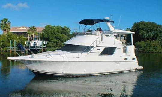 FREE Pontoon Boat with Yacht stay