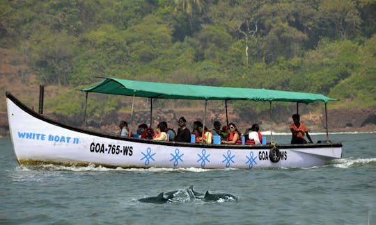 Passeios com golfinhos em Candolim, Goa