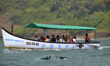 Tours con delfines en Candolim, Goa