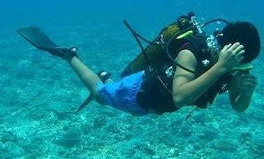Explore the underwater life in Goa, India