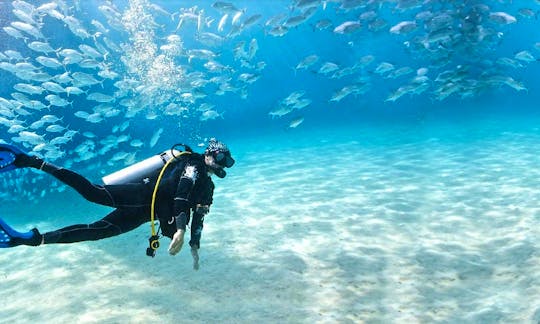 Explore the underwater life in Goa, India
