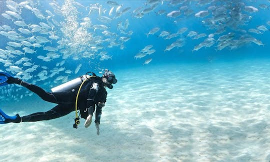 Explore the underwater life in Goa, India