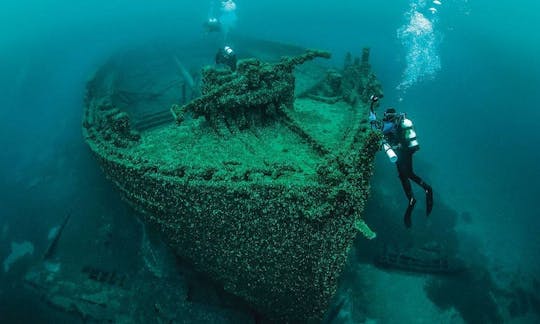 Disfrute de los cursos de buceo con instructores profesionales que se ofrecen en Mirissa, Sri Lanka