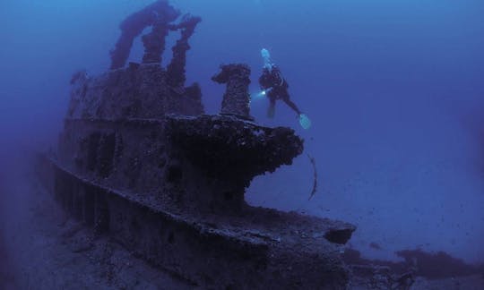 Disfrute de los cursos de buceo con instructores profesionales que se ofrecen en Mirissa, Sri Lanka