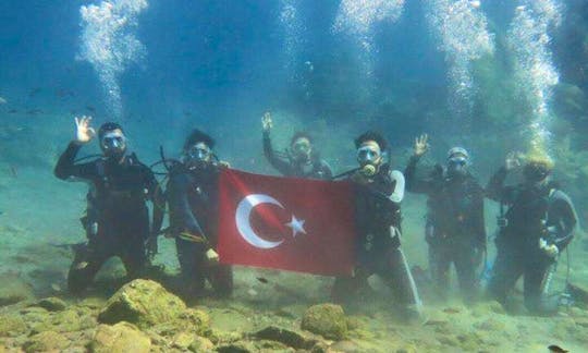 Relax and Enjoy a Diving Trips and Courses in Muğla, Turkey