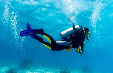 Enjoy Discover Scuba Diving in Malvan, Maharashtra