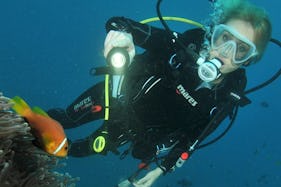 Enjoy Diving Courses in Male, Maldives