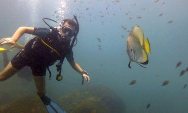 Discover the amazing underwater World of Goa, India