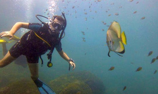 Discover the amazing underwater World of Goa, India