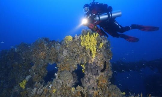 Enjoy Dedicated Diving Trips and Lessons on Island Korcula, Croatia