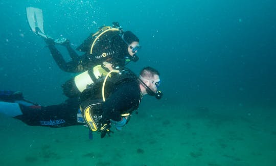 Enjoy Dedicated Diving Trips and Lessons on Island Korcula, Croatia