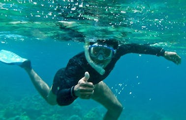 The Best Thing You'll Do in Kuta Selatan - snorkeling!