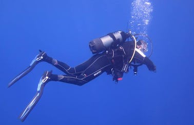 Enjoy Diving Courses in Larnaca, Cyprus