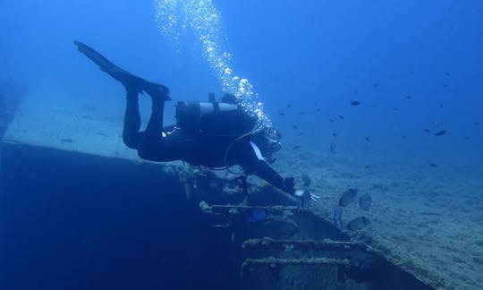 Enjoy Diving Courses in Larnaca, Cyprus