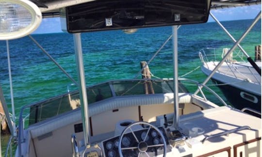The best fishing charter in Cancun, great boats, excellent service and the very best prices. the fishing equipment is very good.