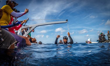 Freediving in Caribbean Netherlands (Bonaire) and Scuba Courses