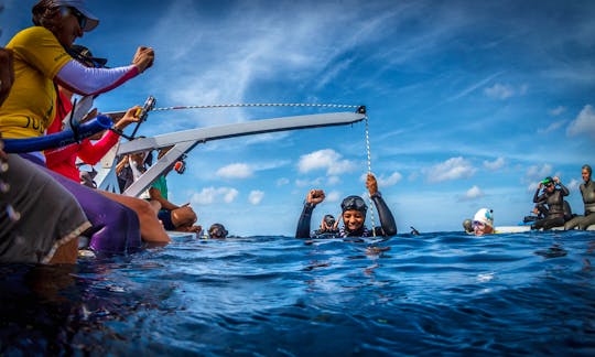 Freediving in Caribbean Netherlands (Bonaire) and Scuba Courses