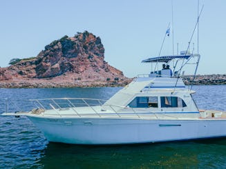 Custom 42ft Sport Fish Motor Yacht Charter in Mazatlan!