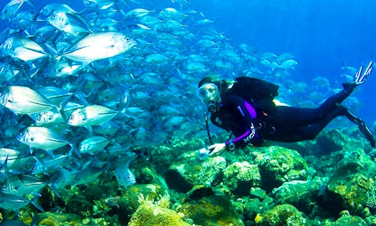 Diving Trips for Certified Divers in Bali, Indonesia