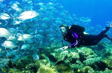 Diving Trips for Certified Divers in Bali, Indonesia