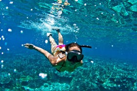 Snorkeling Trips in Bali, Indonesia