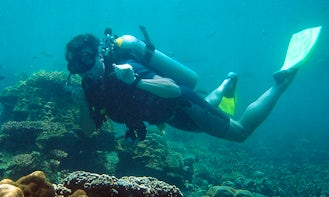 Fun Diving Trips and Scuba Diving Courses on Tioman Island, Malaysia
