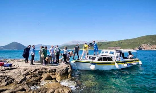 Charter 33' Cuddy Cabin In Herceg - Novi, Montenegro