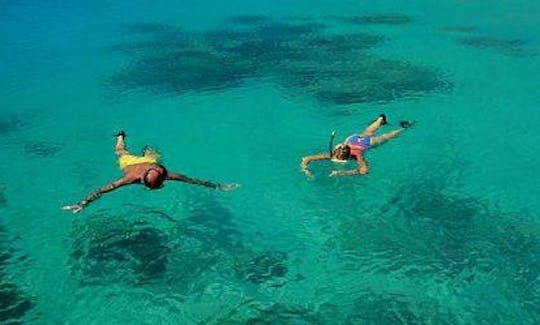 Snorkeling Tours in G.R.S.East, Mauritius