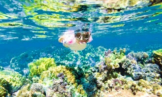 Snorkeling Tours in Flacq, Mauritius