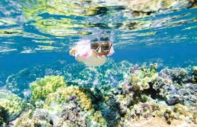 Snorkeling Tours in Flacq, Mauritius