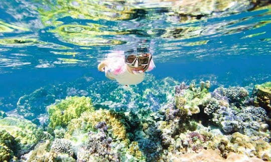 Snorkeling Tours in G.R.S.East, Mauritius