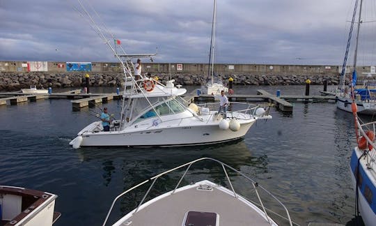 ポルトガルのマダレナでの32フィートの深海釣り旅行、Luhrs Sport Fisherman