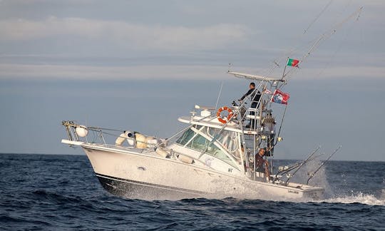 ポルトガルのマダレナでの32フィートの深海釣り旅行、Luhrs Sport Fisherman