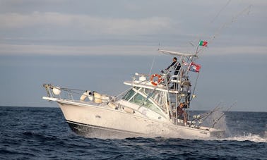 Excursion de pêche en haute mer à Madalena, au Portugal, à bord d'un bateau Luhrs Sport Fisherman de 32 minutes